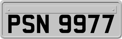 PSN9977