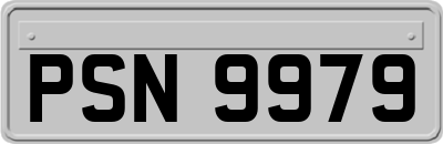 PSN9979