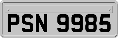PSN9985