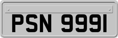 PSN9991