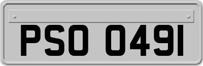PSO0491