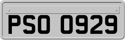 PSO0929