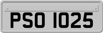 PSO1025