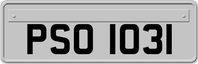 PSO1031