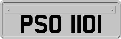 PSO1101