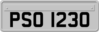 PSO1230