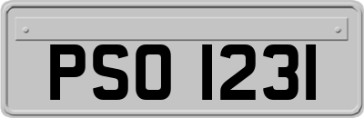 PSO1231