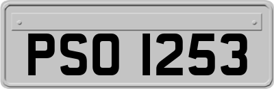 PSO1253