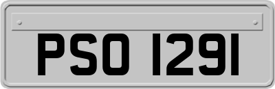 PSO1291