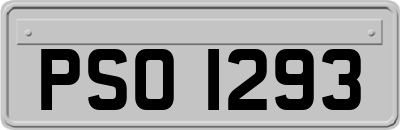 PSO1293