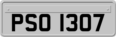 PSO1307