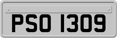 PSO1309