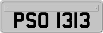 PSO1313