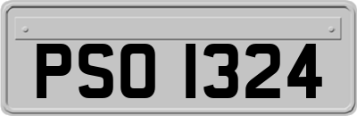 PSO1324