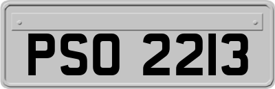 PSO2213