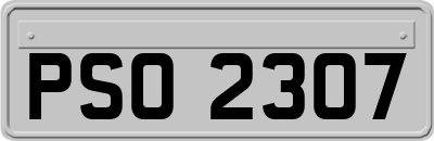 PSO2307