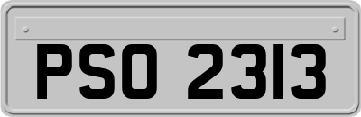 PSO2313