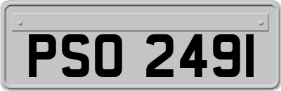 PSO2491