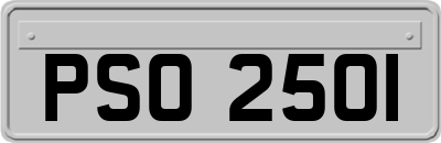 PSO2501