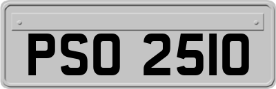 PSO2510