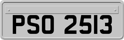 PSO2513
