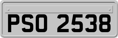 PSO2538
