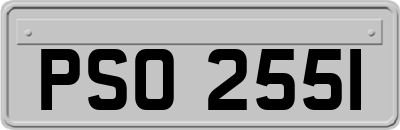 PSO2551