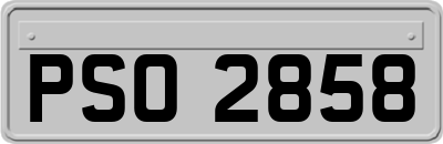 PSO2858