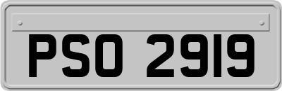 PSO2919