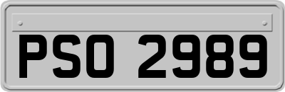 PSO2989