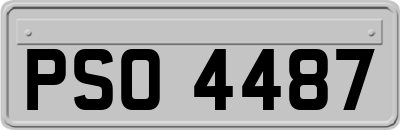PSO4487