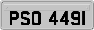 PSO4491