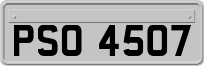 PSO4507
