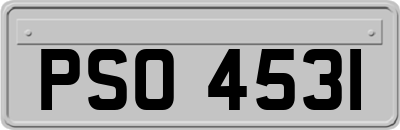 PSO4531