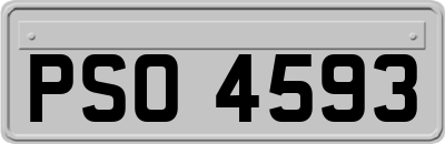 PSO4593