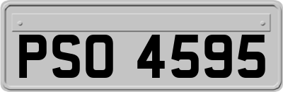 PSO4595