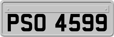 PSO4599