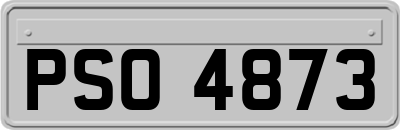 PSO4873