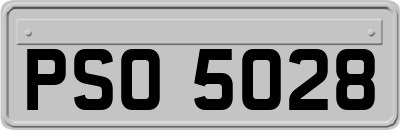 PSO5028