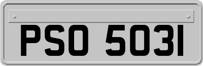 PSO5031