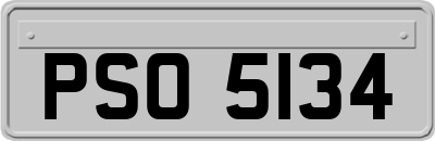PSO5134
