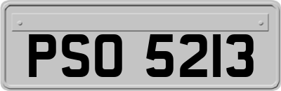 PSO5213