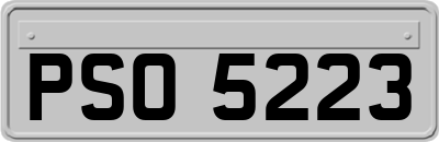 PSO5223