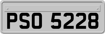 PSO5228