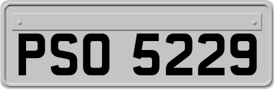 PSO5229