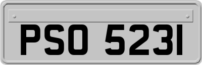 PSO5231