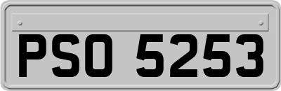 PSO5253