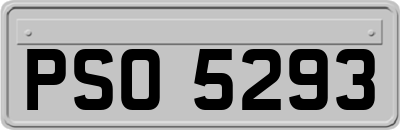 PSO5293