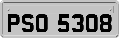 PSO5308