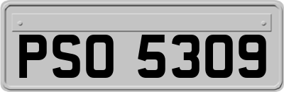 PSO5309